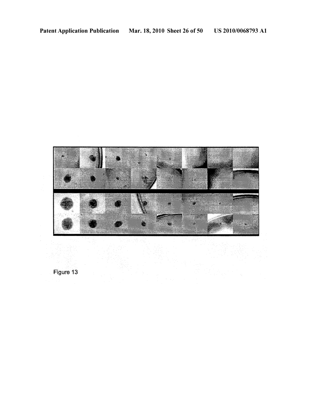 DEVICES AND METHODS FOR PRODUCTION OF CELL AGGREGATES - diagram, schematic, and image 27