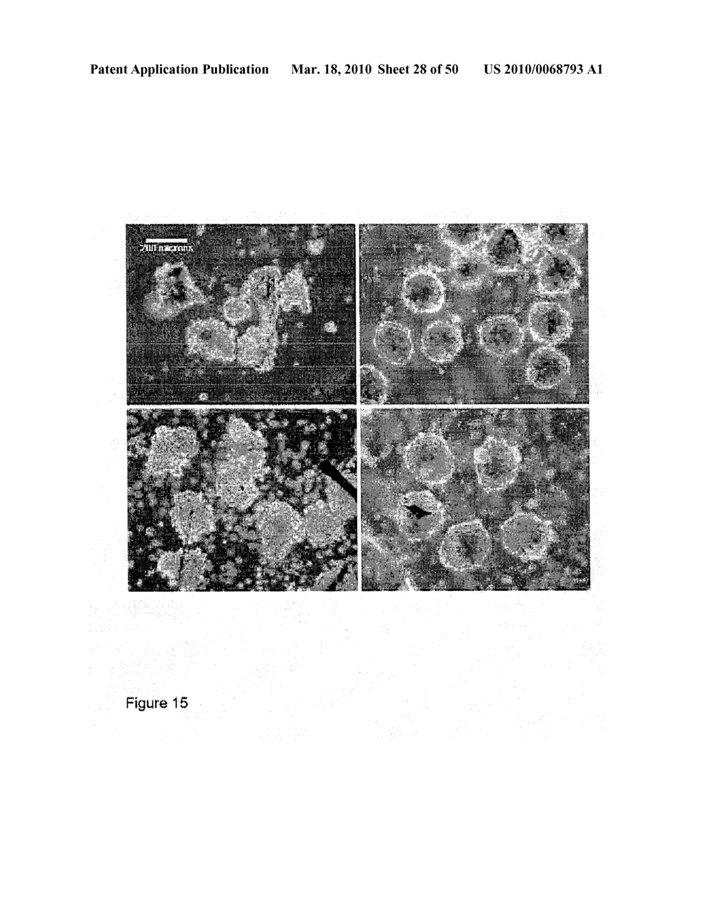 DEVICES AND METHODS FOR PRODUCTION OF CELL AGGREGATES - diagram, schematic, and image 29