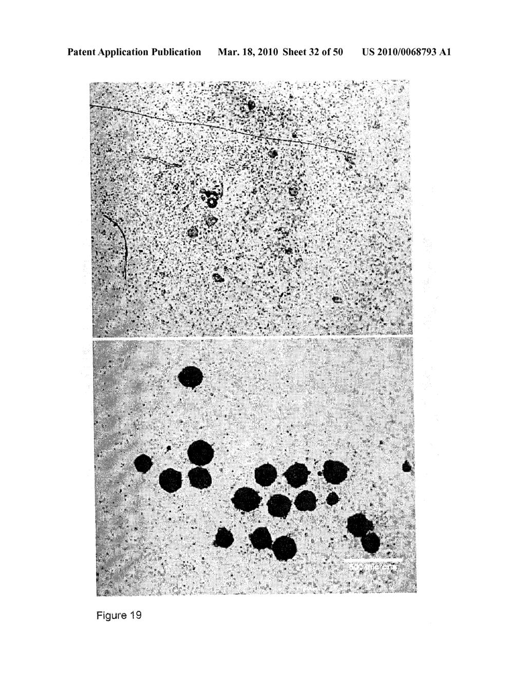 DEVICES AND METHODS FOR PRODUCTION OF CELL AGGREGATES - diagram, schematic, and image 33