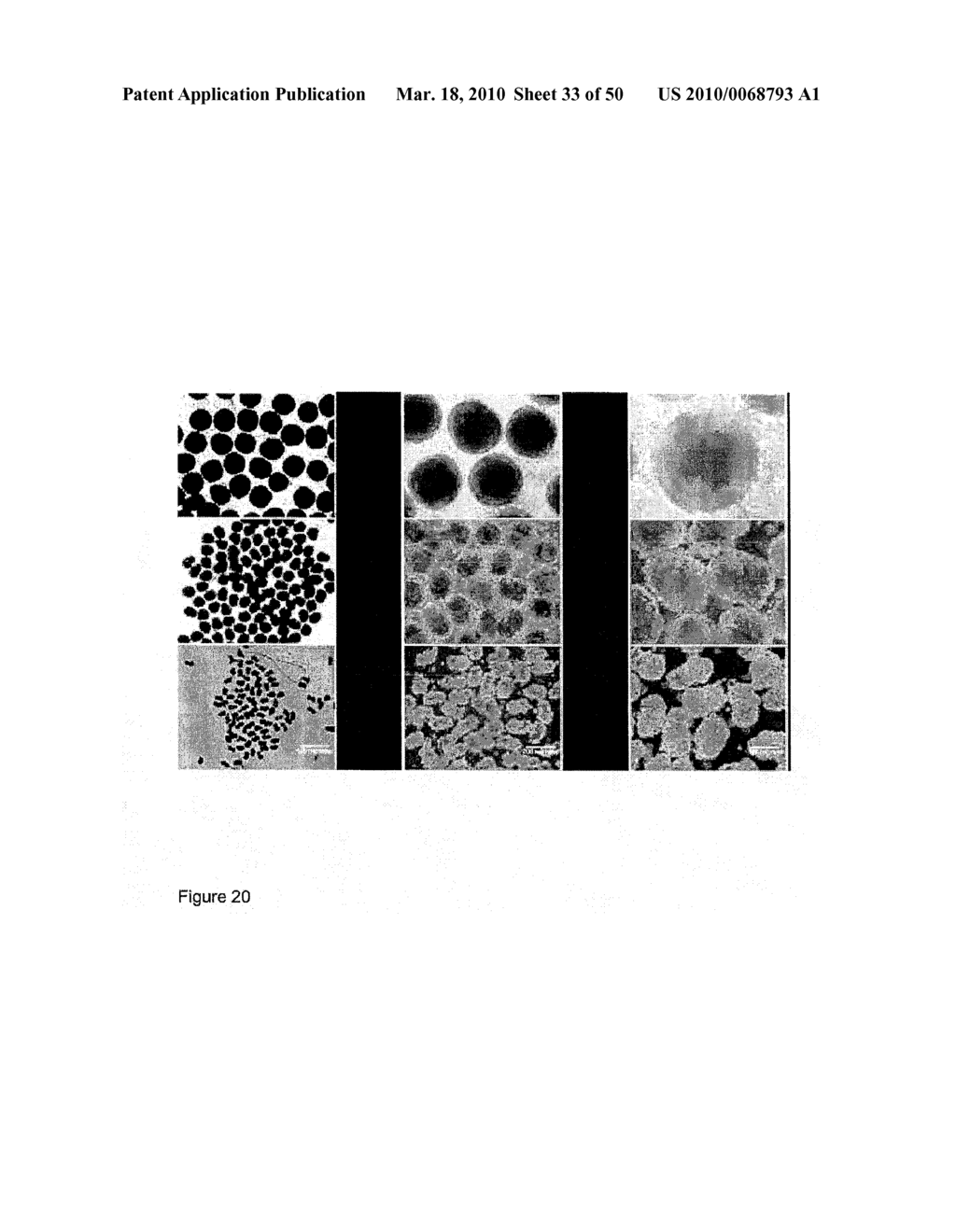 DEVICES AND METHODS FOR PRODUCTION OF CELL AGGREGATES - diagram, schematic, and image 34