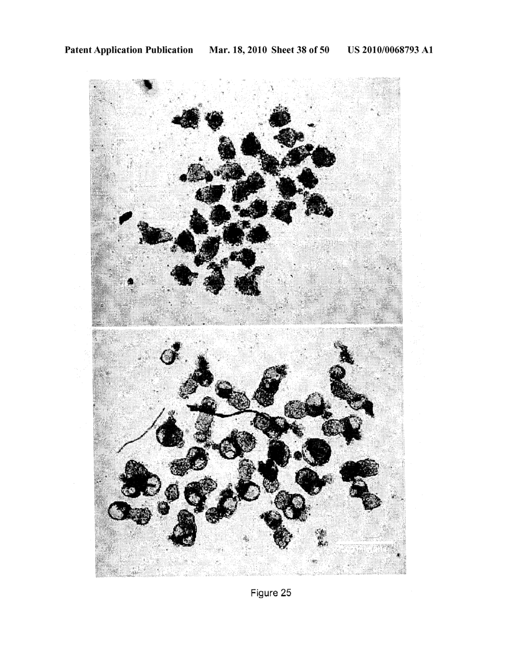 DEVICES AND METHODS FOR PRODUCTION OF CELL AGGREGATES - diagram, schematic, and image 39