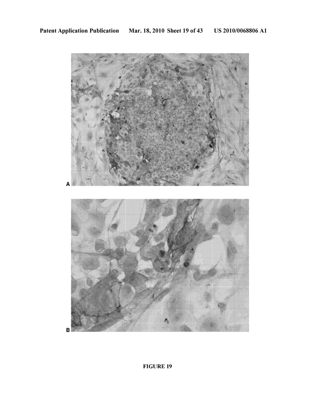 NOVEL METHODS AND REAGENTS DIRECTED TO PRODUCTION OF CELLS - diagram, schematic, and image 20