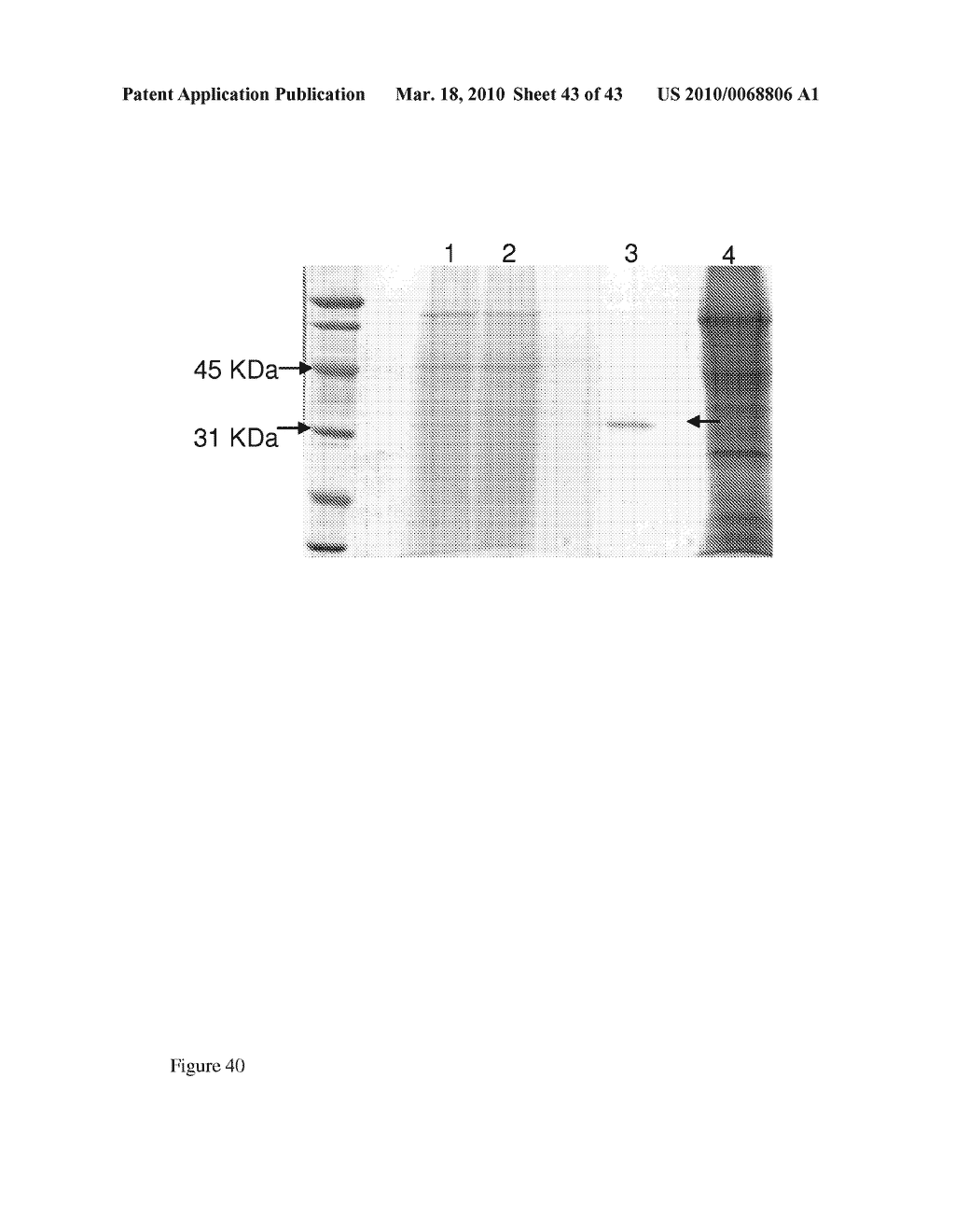 NOVEL METHODS AND REAGENTS DIRECTED TO PRODUCTION OF CELLS - diagram, schematic, and image 44