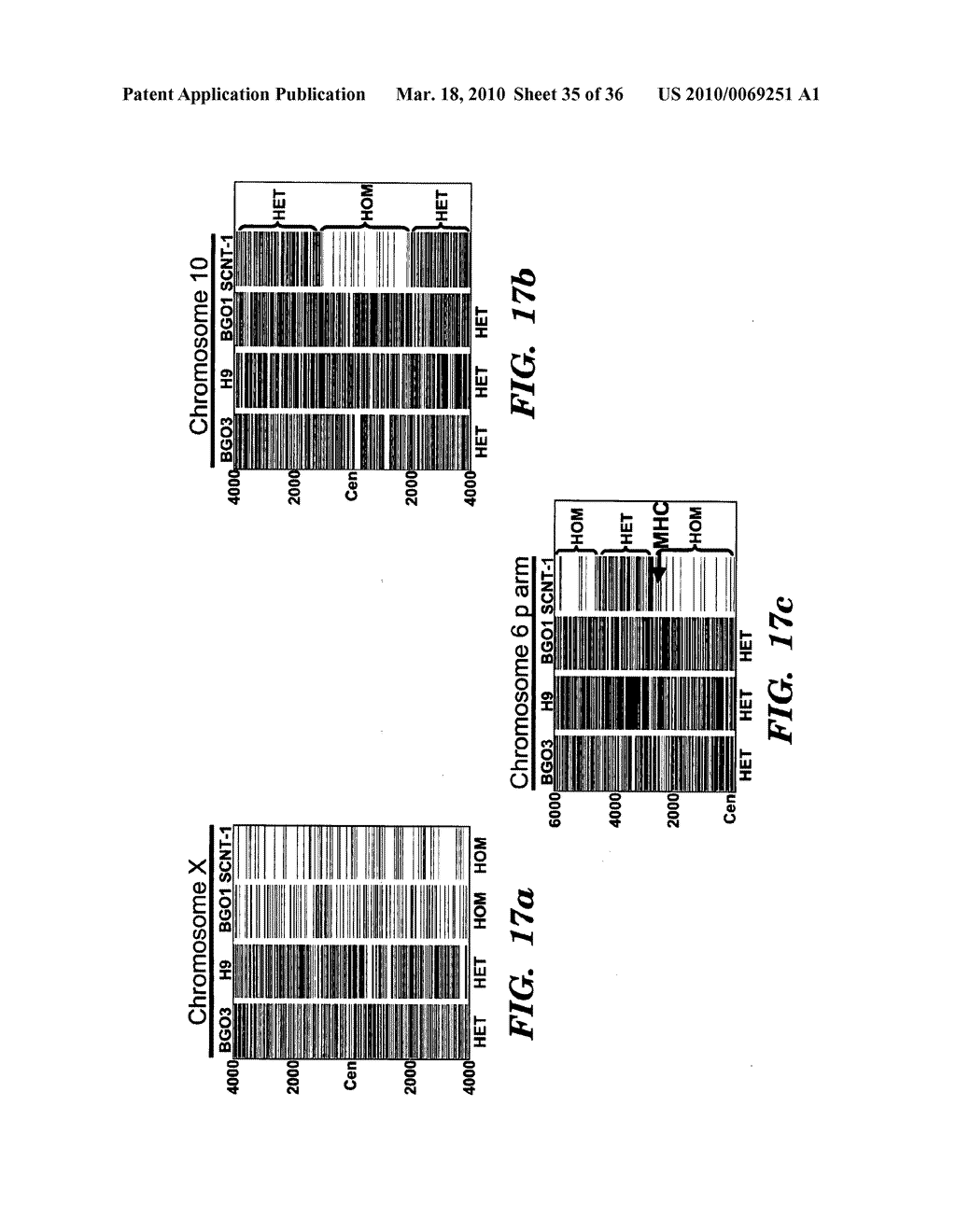 METHODS FOR PRODUCING EMBRYONIC STEM CELLS FROM PARTHENOGENETIC EMBRYOS - diagram, schematic, and image 36