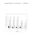 siRNA targeting proto-oncogene MET diagram and image