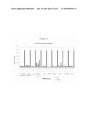 siRNA targeting proto-oncogene MET diagram and image