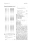 siRNA targeting proto-oncogene MET diagram and image