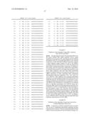 siRNA targeting proto-oncogene MET diagram and image