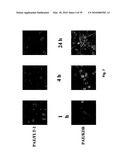 METHODS OF TREATING BONE DISEASE USING VASCULAR ENDOTHELIAL GROWTH FACTOR FUSION CONSTRUCTS diagram and image