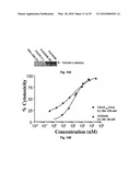 METHODS OF TREATING BONE DISEASE USING VASCULAR ENDOTHELIAL GROWTH FACTOR FUSION CONSTRUCTS diagram and image