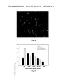 METHODS OF TREATING BONE DISEASE USING VASCULAR ENDOTHELIAL GROWTH FACTOR FUSION CONSTRUCTS diagram and image