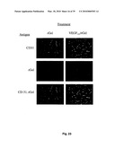 METHODS OF TREATING BONE DISEASE USING VASCULAR ENDOTHELIAL GROWTH FACTOR FUSION CONSTRUCTS diagram and image