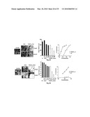 METHODS OF TREATING BONE DISEASE USING VASCULAR ENDOTHELIAL GROWTH FACTOR FUSION CONSTRUCTS diagram and image