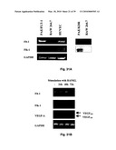 METHODS OF TREATING BONE DISEASE USING VASCULAR ENDOTHELIAL GROWTH FACTOR FUSION CONSTRUCTS diagram and image