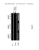 METHODS OF TREATING BONE DISEASE USING VASCULAR ENDOTHELIAL GROWTH FACTOR FUSION CONSTRUCTS diagram and image