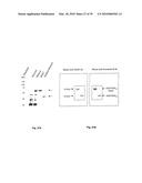 METHODS OF TREATING BONE DISEASE USING VASCULAR ENDOTHELIAL GROWTH FACTOR FUSION CONSTRUCTS diagram and image