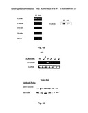 METHODS OF TREATING BONE DISEASE USING VASCULAR ENDOTHELIAL GROWTH FACTOR FUSION CONSTRUCTS diagram and image