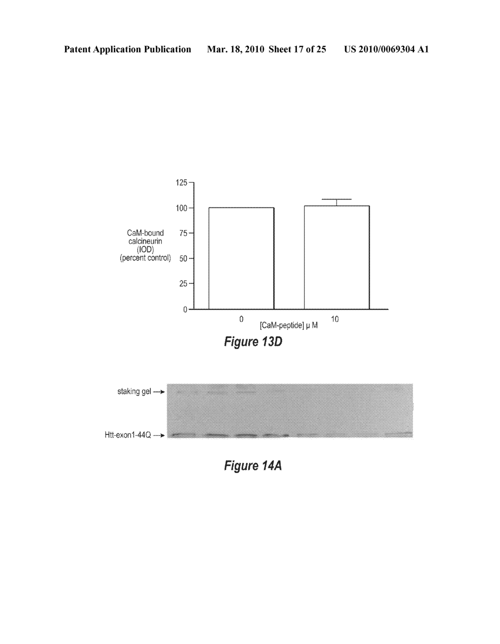 PROTECTIVE EFFECTS OF INHIBITING THE INTERACTION OF CALMODULIN AND MUTANT HUNTINGTIN PROTEIN - diagram, schematic, and image 18