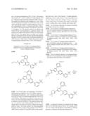 LXR and FXR Modulators diagram and image