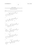 N-HYDROXYACRYLAMIDE COMPOUNDS diagram and image