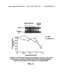 Use of Chk2 Kinase Inhibitors for Cancer Treatment diagram and image