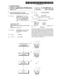 BONE MODEL, BONE FILLER AND PROCESS FOR PRODUCING BONE FILLER diagram and image