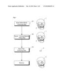 BONE MODEL, BONE FILLER AND PROCESS FOR PRODUCING BONE FILLER diagram and image