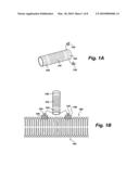 Tubular nanostructure targeted to cell membrane diagram and image