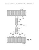 Tubular nanostructure targeted to cell membrane diagram and image