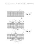 Tubular nanostructure targeted to cell membrane diagram and image