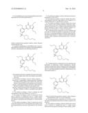 SALTS OF PYRROLOPYRIMIDINONE DERIVATIVES AND PROCESS FOR PREPARING THE SAME diagram and image