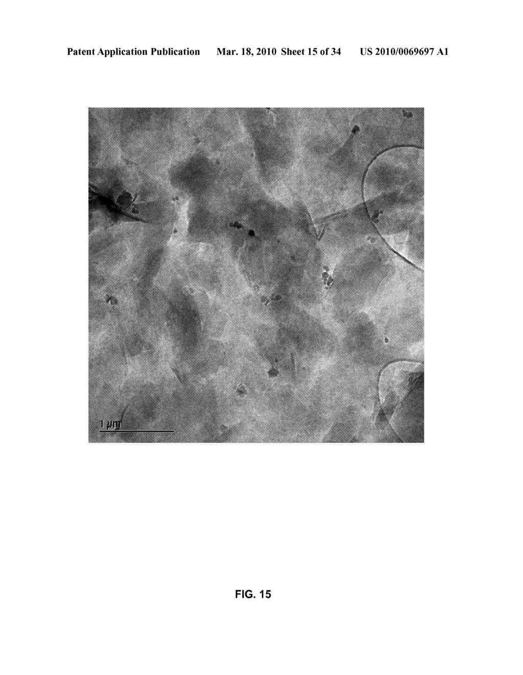 Radioactive Material Sequestration - diagram, schematic, and image 16