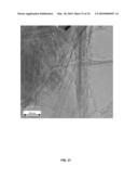 Radioactive Material Sequestration diagram and image