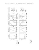 SYSTEM AND METHOD FOR ANALYZING COMPLEX CURVATURE OF ECG CURVES diagram and image