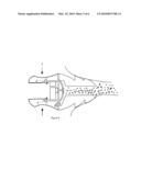 NOVEL HEARING PROTECTION DEVICE AND METHOD AND SECURE EARBUD ASSEMBLY diagram and image