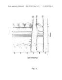 Process for electrokinetic migration through liquid membranes diagram and image