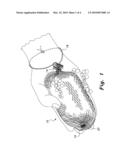 Soap pouch and method for making diagram and image