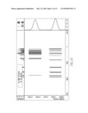 NMR Measurement Method diagram and image