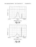 ENVIRONMENTALLY STABLE PASSIVELY MODELOCKED FIBER LASER PULSE SOURCE diagram and image