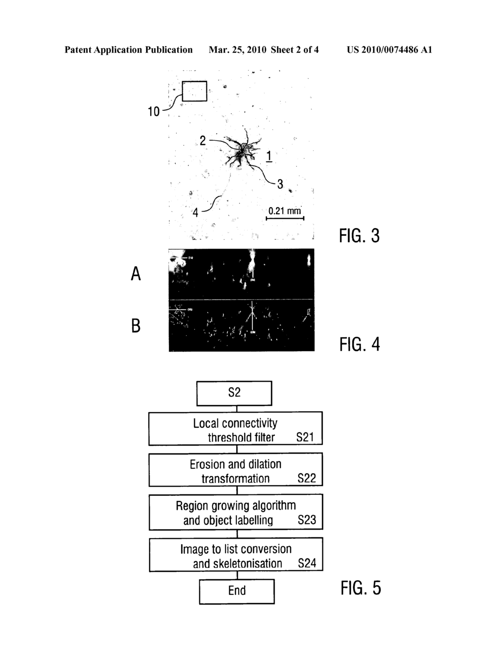 RECONSTRUCTION AND VISUALIZATION OF NEURONAL CELL STRUCTURES WITH BRIGHT-FIELD MOSAIC MICROSCOPY - diagram, schematic, and image 03