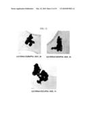 METHOD FOR MAKING NANOPARTICLES OF LITHIUM TRANSITION METAL PHOSPHATES diagram and image