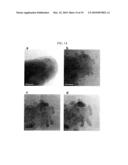 METHOD FOR MAKING NANOPARTICLES OF LITHIUM TRANSITION METAL PHOSPHATES diagram and image