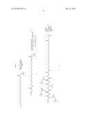 Novel Substrate Based PET Imaging Agents diagram and image