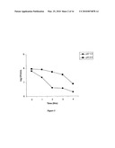 Probiotic bacterium: lactobacillus fermentum diagram and image