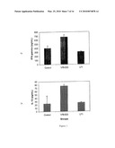 Probiotic bacterium: lactobacillus fermentum diagram and image