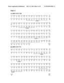 Antibodies Specific for Varicella Zoster Virus diagram and image