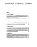 Antibodies Specific for Varicella Zoster Virus diagram and image