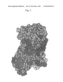 PEPTIDE VACCINE FOR INFLUENZA VIRUS diagram and image