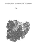 PEPTIDE VACCINE FOR INFLUENZA VIRUS diagram and image