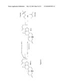 Cell And Enzyme Compositions For Modulating Bile Acids, Cholesterol and Triglycerides diagram and image